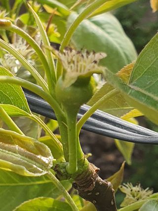 하나라도 소중하게님의 자유주제 · 자유게시판 작성글 사진