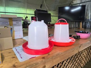 천등산미래양봉농원님의 자유주제 · 자유게시판 작성글 사진