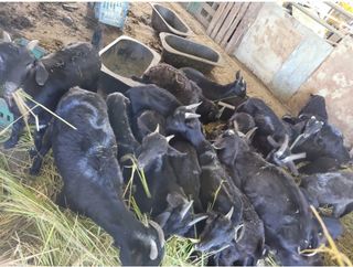 서해숙님의 작성글 사진