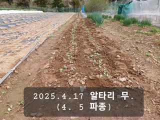 박성민님의 자유주제 · 자유게시판 작성글 사진