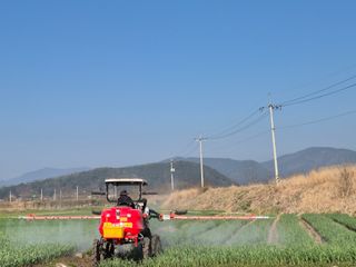 서해숙님의 자유주제 · 자유게시판 작성글 사진