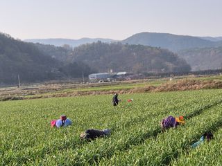 서해숙님의 자유주제 · 자유게시판 작성글 사진
