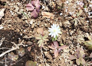 고추건조기부품판매님의 자유주제 · 자유게시판 작성글 사진