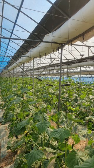 김인선님의 자유주제 · 자유게시판 작성글 사진