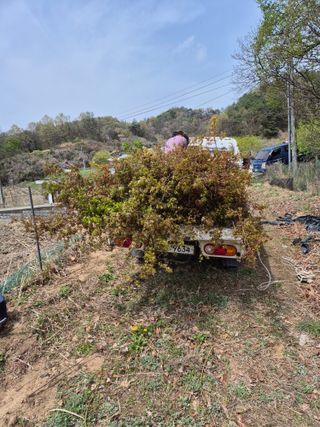 기중권님의 자유주제 · 자유게시판 작성글 사진