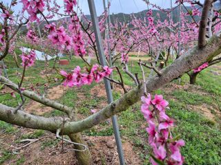 천운산님의 자유주제 · 자유게시판 작성글 사진