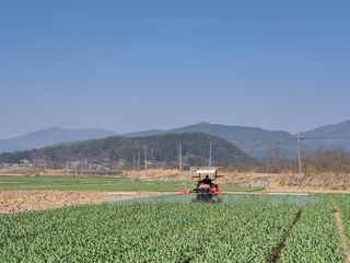 서해숙님의 자유주제 · 자유게시판 작성글 사진