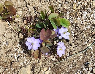 고추건조기부품판매님의 자유주제 · 자유게시판 작성글 사진