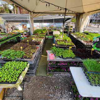 양지모종님의 자유주제 · 자유게시판 작성글 사진