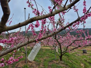 천운산님의 자유주제 · 자유게시판 작성글 사진