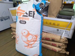 천등산미래양봉농원님의 자유주제 · 자유게시판 작성글 사진