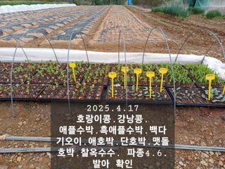 박성민님의 자유주제 · 자유게시판 작성글 사진