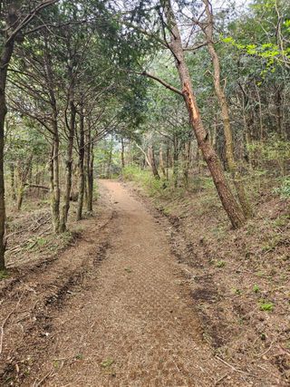 제주 지안이네농장님의 자유주제 · 자유게시판 작성글 사진
