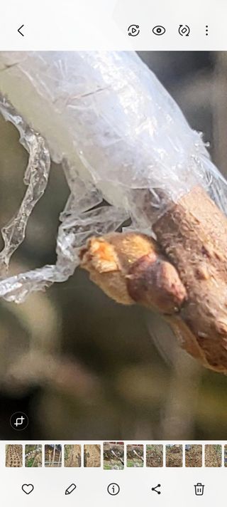 라이프님의 농사, 무엇이든 물어보세요! · 참여글 작성글 사진