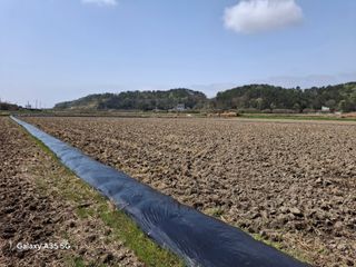 김계태 님의 🌿농부님의 제초법은? · 참여글 작성글 사진
