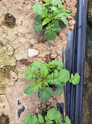 박정규님의 자유주제 · 자유게시판 작성글 사진