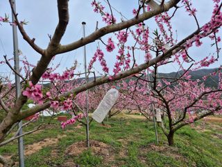 천운산님의 자유주제 · 자유게시판 작성글 사진