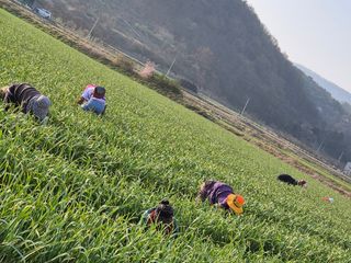 서해숙님의 자유주제 · 자유게시판 작성글 사진