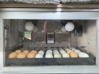 천등산미래양봉농원님의 자유주제 · 자유게시판 작성글 사진