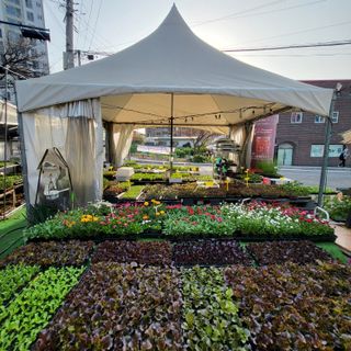 양지모종님의 자유주제 · 자유게시판 작성글 사진