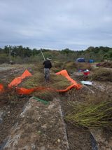 팜모닝 · 게시글 이미지