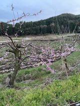 팜모닝 자유주제·자유게시판 게시글 이미지