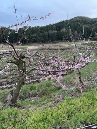 오디님의 자유주제 · 자유게시판 작성글 사진