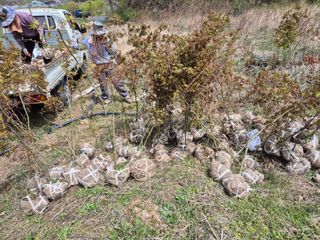 기중권님의 자유주제 · 자유게시판 작성글 사진