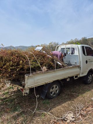 기중권님의 자유주제 · 자유게시판 작성글 사진
