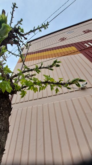 MSG0074님의 자유주제 · 자유게시판 작성글 사진