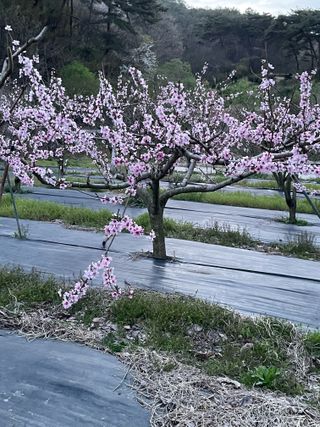 오디님의 자유주제 · 자유게시판 작성글 사진