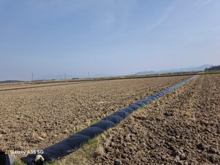 김계태 님의 🌿농부님의 제초법은? · 참여글 작성글 사진