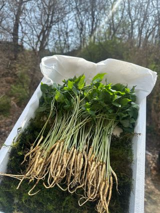 진상빈님의 작성글 사진