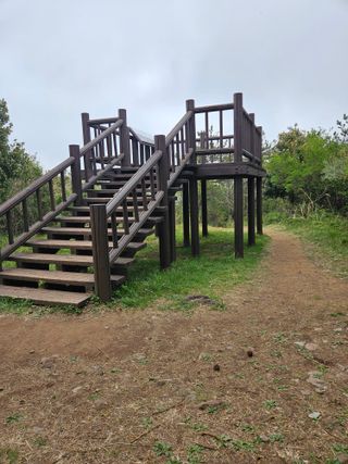 제주 지안이네농장님의 자유주제 · 자유게시판 작성글 사진