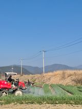 팜모닝 자유주제·자유게시판 게시글 이미지