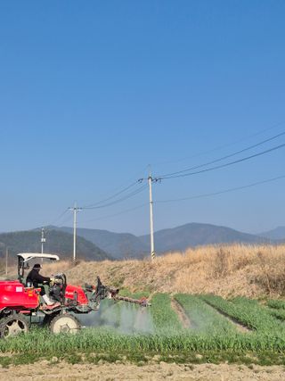 서해숙님의 자유주제 · 자유게시판 작성글 사진
