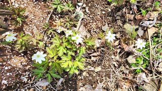 고추건조기부품판매님의 자유주제 · 자유게시판 작성글 사진