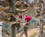 팜모닝 자유주제·자유게시판 게시글 이미지