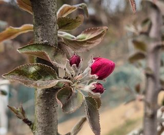 담디농원님의 자유주제 · 자유게시판 작성글 사진
