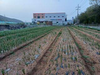 전원수님의 🌿농부님의 제초법은? · 참여글 작성글 사진
