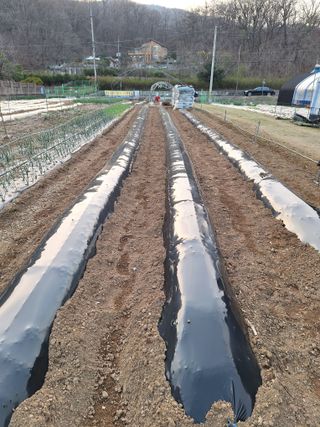 김광수님의 🌿농부님의 제초법은? · 참여글 작성글 사진