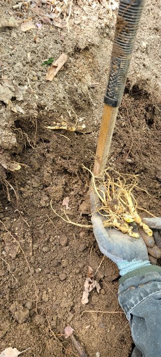 진상빈님의 작성글 사진