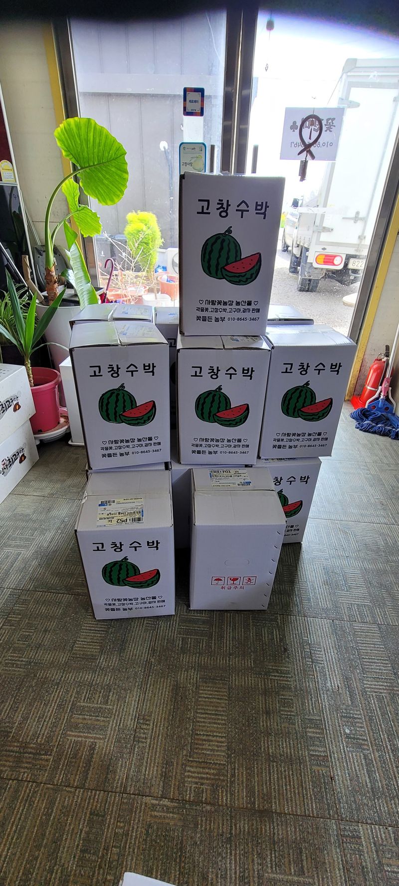 사랑꽃농장님의 장터 판매 상품 [고창 씨없는 수박8kg급] 첨부 사진