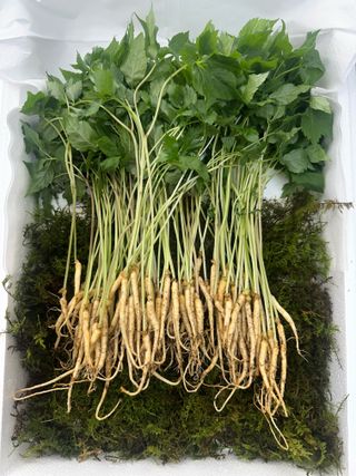 진상빈님의 작성글 사진