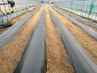 농린이님의 자유주제 · 자유게시판 작성글 사진