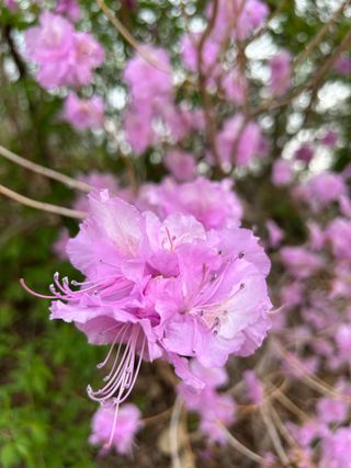 농린이님의 자유주제 · 자유게시판 작성글 사진