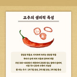 누보농장님의 자유주제 · 자유게시판 작성글 사진