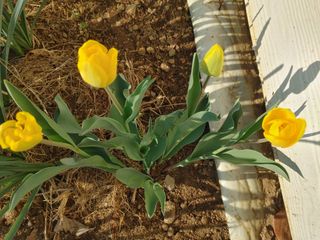 안길원님의 자유주제 · 자유게시판 작성글 사진