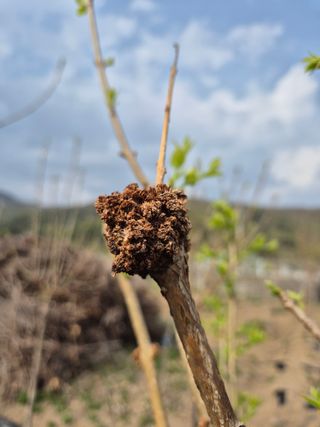 기중권님의 자유주제 · 자유게시판 작성글 사진