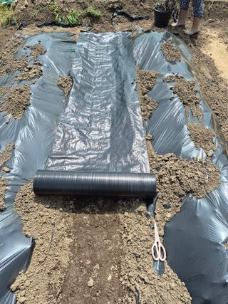 사천시향촌동 돼지띠님의 자유주제 · 자유게시판 작성글 사진